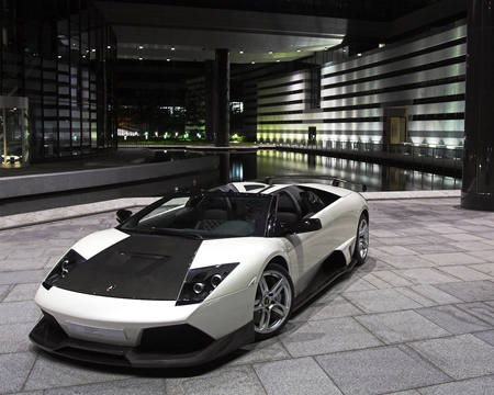 Lamborghini Gallardo - lamborghini gallardo, black and white, gallardo, lamborghini