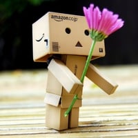 Danbo w Flower