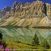 Bow Lake And Flowers Banff National Park Alberta Canada C25