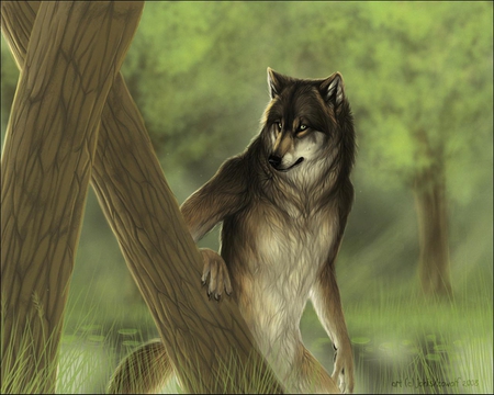 werewolf hiding from hunters - werewolf, trees, woods, hunters