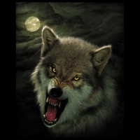 alpha wolf protecting his teretory