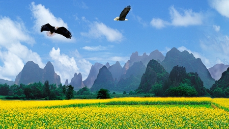 Eagles Over Field - sky, trees, eagles, field, mountains, flowers, birds