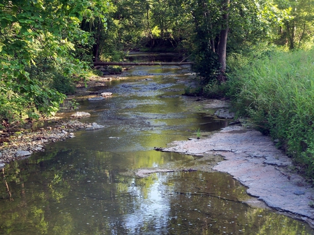 Rock Creek - nature, summer, creek, river