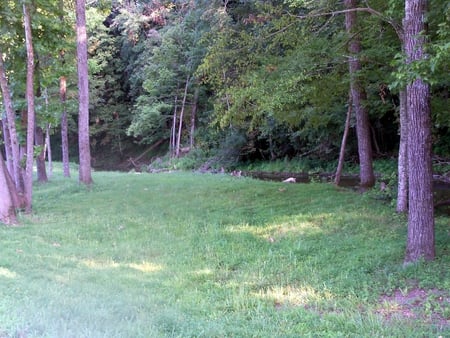 Breakhide - river, forest, nature, creek