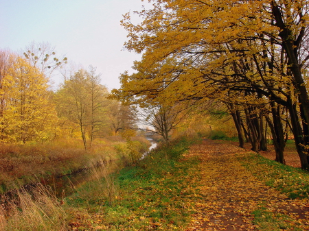 My favourite season - park, autumn, poland, path