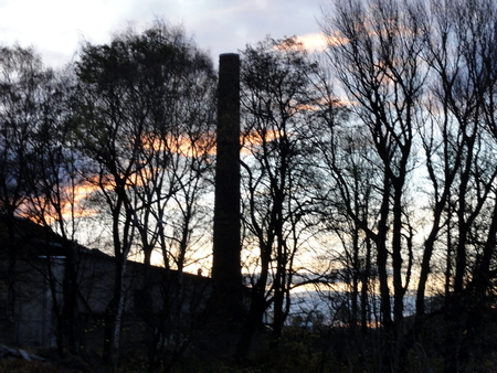 My first cigarette today - clouds, chimney, trees, smoke, morning, sky