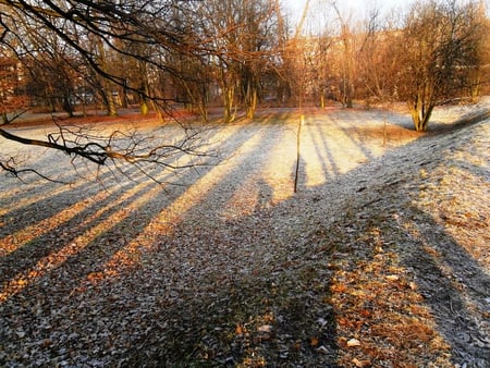 Waiting for the Spring - shadows, waiting, early spring, park