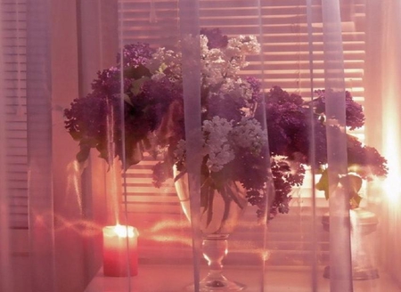 Lilacs for You - curtain, flowers, vase, pretty, sheer, window, candle, lilacs