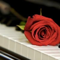 Piano and Rose