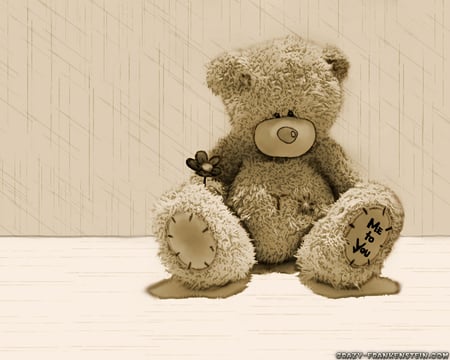 free hugs teddy bear - free, bear, wallpaper, teddy, hugs