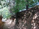 Ravine in Kazimierz, Poland