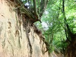 Ravine in Kazimierz, Poland