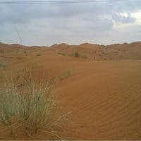 Golden Dunes