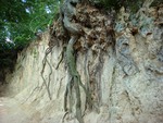 Ravine in Kazimierz, Poland