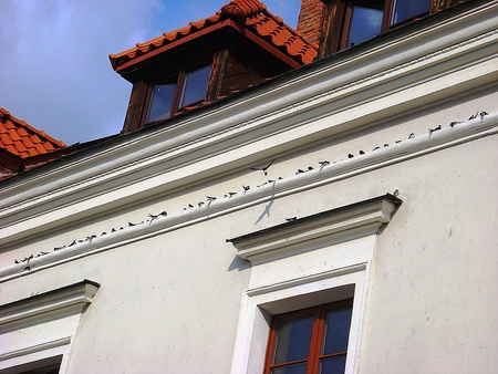 Kazimierz, Poland - little town, swallows, poland, old, kazimierz