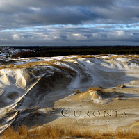 Frozen dunes of Curonia