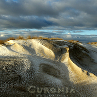 Frozen dunes of Curonia