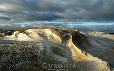 Frozen dunes of Curonia - winter, frozen, national, kurische, white, nehrung, kopos, dunes, curonia, spit, park, curonian, snow