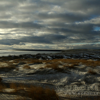 Frozen dunes of Curonia