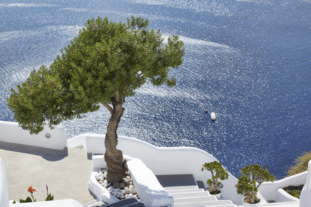 Santorini view - santorini, blue, view, greece, sea, tree