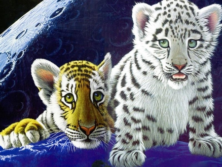 BABY BROTHERS - baby, bengel, brothers, tigers