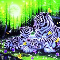 WHITE TIGER FAMILY