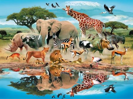 REFLICTIONS OF THE JUNGLE - water, jigsaw, elephants, birds