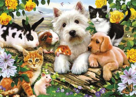 ANIMAL FRIENDS - rabbit, dog, mouse, hamster, cat