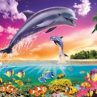 DOLPHINS BEAUTY