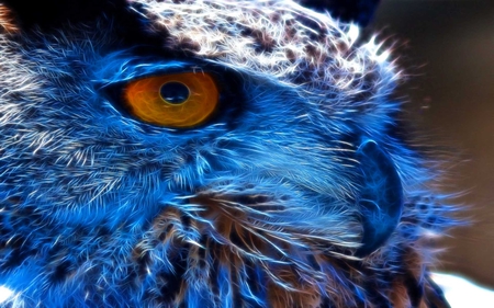 The Watching Owl - fractalius, beauty, owl, bird