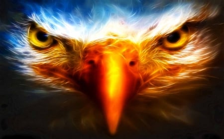 Where Eagle Stare - fractalius, beauty, eagle, birds