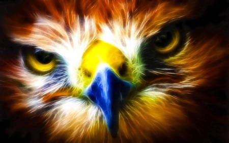 Where Eagle Look Out - fractalius, beauty, eagle, birds