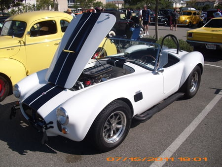 SHELBY COBRA - fast, cobra, hot, ford, auto, shelby, autos, car, custom, hotrod, hot rod, hott, classic, sportscar, outside, hotrods, cars, show