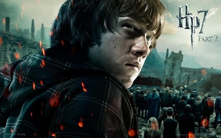 Ron Weasley Deathly Hallows 2 - ron, hallows, harry, deathly, weasley, potter, two, part