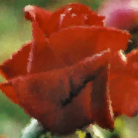 Painted Red Rose