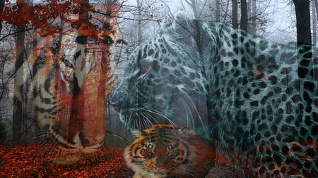 The'3'Big'Cats - autumn, lion, falling leaves, cheetah, road, red leaves, 3, three, leopard, fall, cats, big cats, forrest, the three big cats