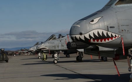 Heavy Hitters - thunderbolt, a10, aircraft, jet, warthog, plane, military