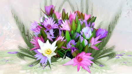 Abundance of Colors - blooms, blossoms, lilies, summer, water lily, spring, colors, pink, firefox persona, bouquet, blooming, flowers, purple, ferns, bright