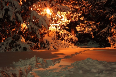 Ruse at night - snow, night, nature, bulgaria