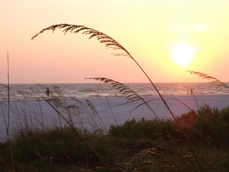 Orange and Red Sunset - sunset, red, grass, ocean, orange