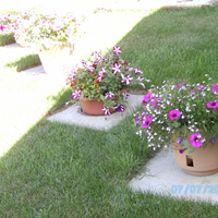 backyard flower pots