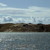 Dead dunes of Curonia