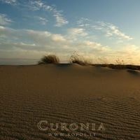 Sunset in dunes of Curonia