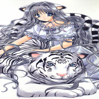 Tiger and Bunny
