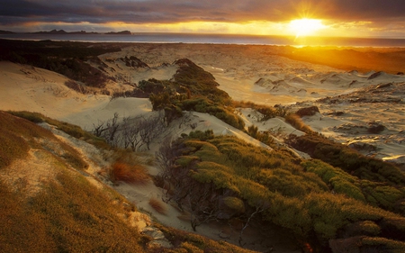 SEASHORE SUNSET - shore, sunset, beach, sea, stones