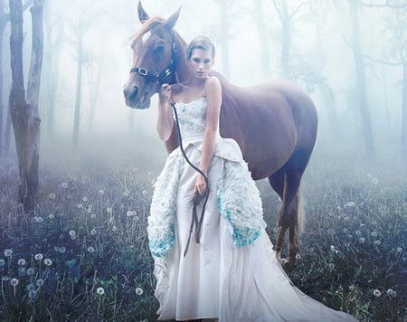 The Woman and The Horse - woman, beauty, horse, forest, friendship