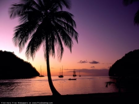 Sunset - nature, purple, evening, image, sunset, sea, sail boaths