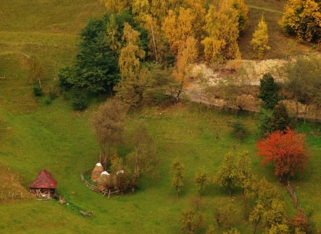 Romania - Rucar - Bran - bran, rucar, mountains, romania