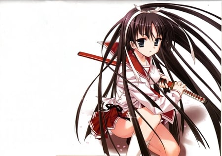 Sexy Warrior - anime, female warrior, hidan no aria, sexy warrior, tagme, long hair, original wall, hotogi shirayuki, blade, anime warrior