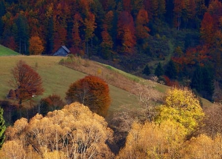 Romania - Rucar - Bran - bran, rucar, mountains, romania